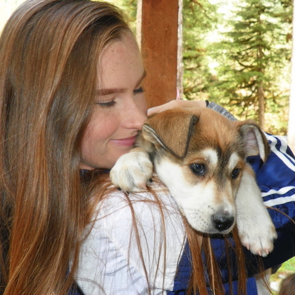 Meet your Posher, Sydney